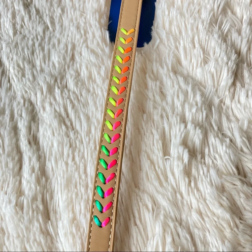 YOULY Tan and Neon Rainbow Braided Chevron Dog Collar